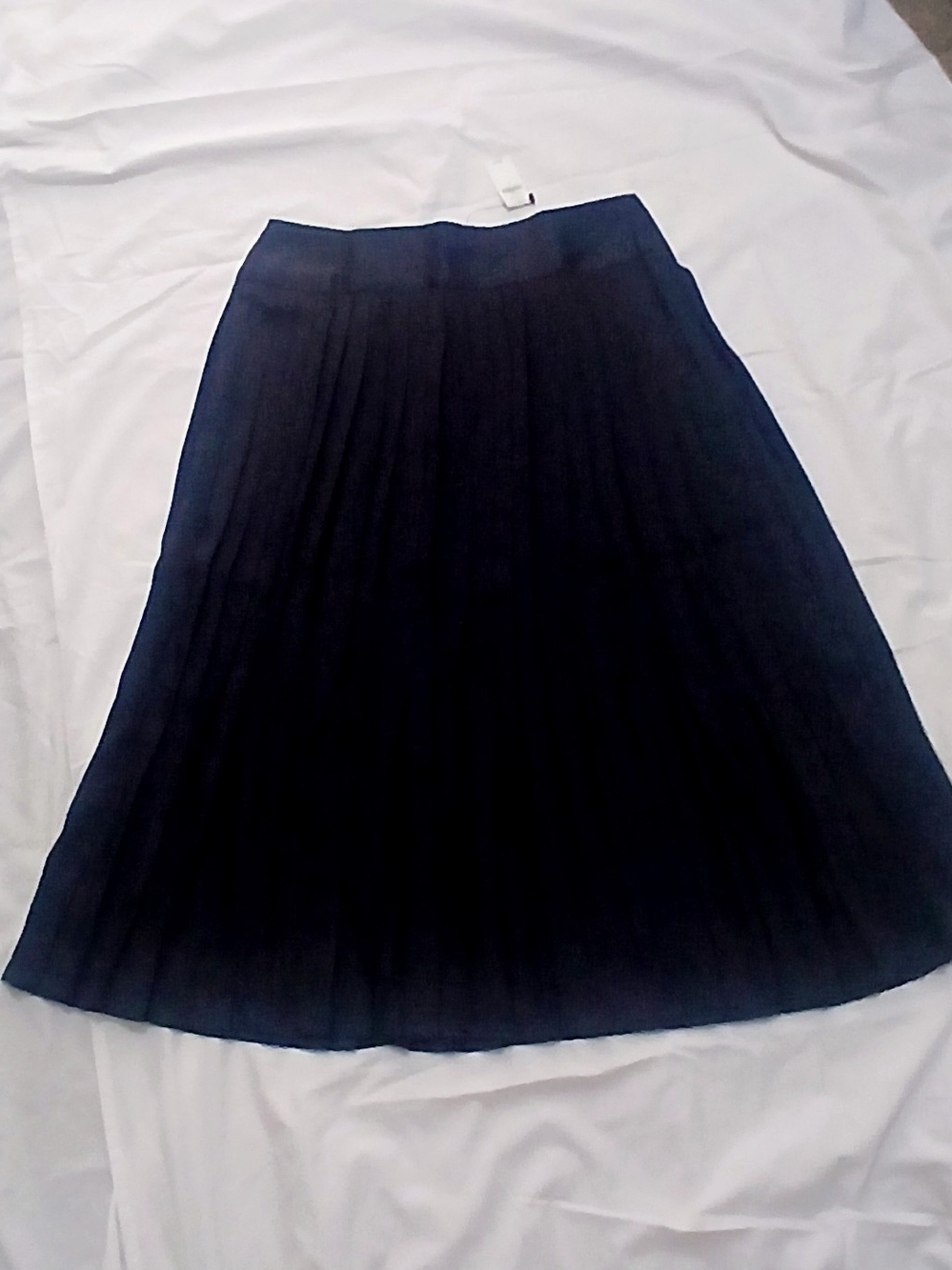 Banana Republic Navy Pleated Midi Skirt